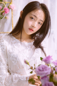 海贼王樱花动漫